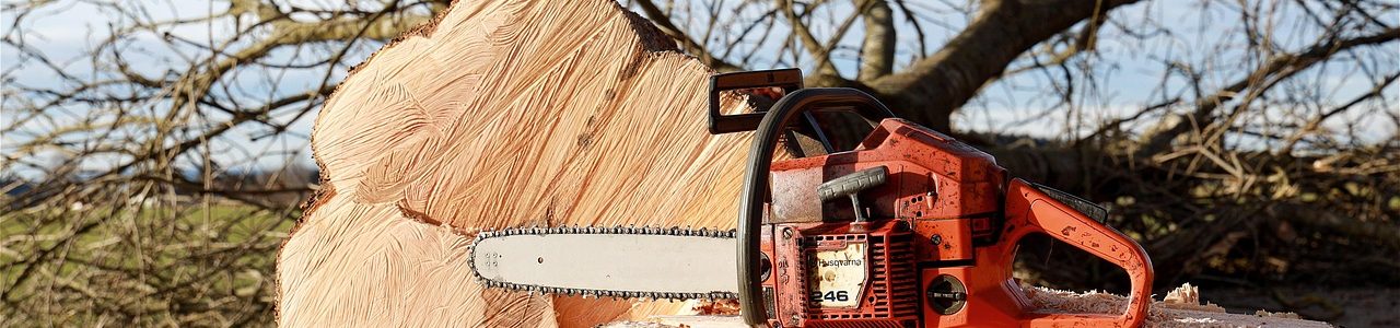 chainsaw-4815949_1280
